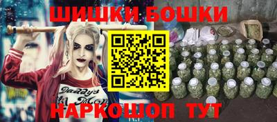 ешки Будённовск