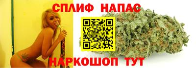 ешки Будённовск