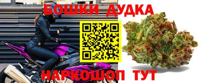 ешки Будённовск