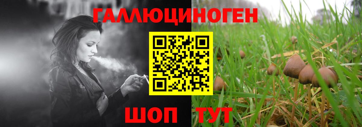 Галлюциногенные грибы прущие грибы  как найти закладки  Вход с VPN  Шумерля  Псилоцибиновые грибы мицелий 
